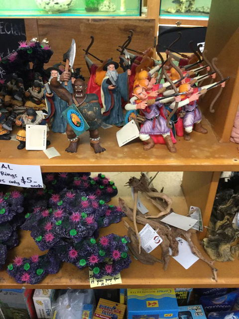 True Blue Aquariums - Hotels Melbourne 0