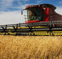 Quirindi Grain and produce