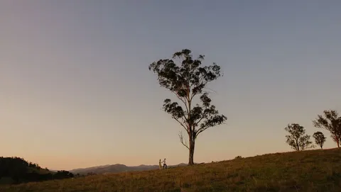 Faulls Ridge Winery - Hotels Melbourne 0