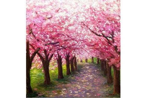 Blossom Lane - Boardwalk Bar 4.00-6.00pm - Hotels Melbourne 0