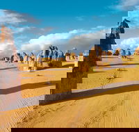 Pinnacles Desert Koalas and Sandboarding 4WD Day Tour from Perth - Hotels Melbourne
