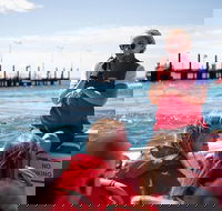 Rottnest Island Tour from Perth or Fremantle including Adventure Speed Boat Ride - Hotels Melbourne