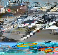 6-Metre Boat Renat Explore Exmouth's Ningaloo Reef