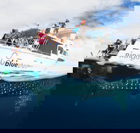 VIP luxury chartered escapes exploring the reef at your own pace