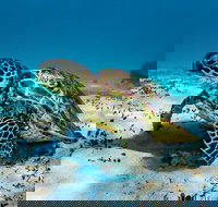 Turtle and Reef Adventure