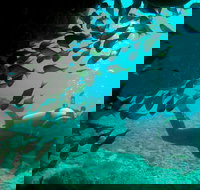 Scuba Dive Ningaloo Reef