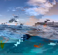 Exclusive Ningaloo Adventure Charter from Exmouth