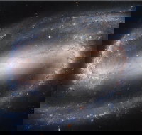 Dusk to Dawn Astronomy Experience at Bullara Station Stay