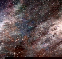 Overnight Astronomy Experience Ningaloo - Yardie Homestead