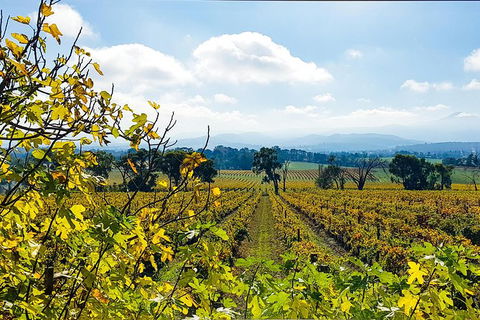 Alternative Yarra Valley Wine Tasting Tour Departing From Melbourne - Hotels Melbourne 4