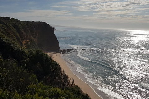 Full-Day Great Ocean Road Tour From Melbourne - Hotels Melbourne 5