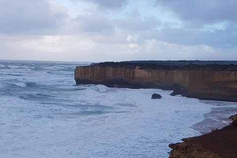 Full-Day Great Ocean Road Tour From Melbourne - Hotels Melbourne 13