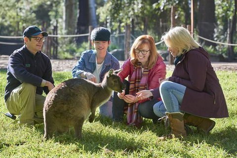 Australian Wildlife Experience At Healesville Sanctuary - Hotels Melbourne 0