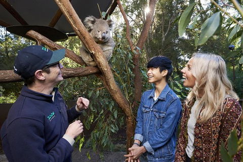 Australian Wildlife Experience At Healesville Sanctuary - Hotels Melbourne 1