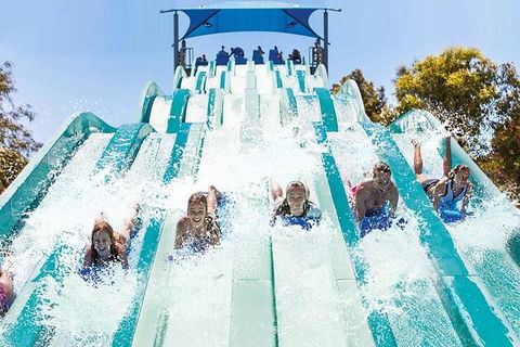 Adventure Park Geelong: General Admission Ticket - Hotels Melbourne 1