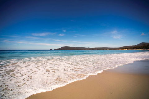 Private Bruny Island Nature Day Trip From Hobart - Hotels Melbourne 1