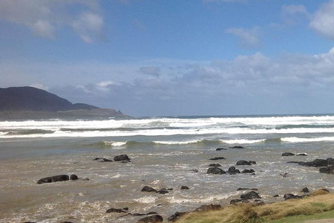 Private Bruny Island Nature Day Trip From Hobart - Hotels Melbourne 0