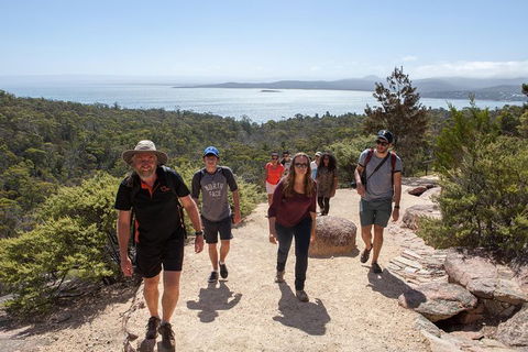 Active Day Tour One-Way From Hobart To Launceston With Wineglass Bay - Hotels Melbourne 3