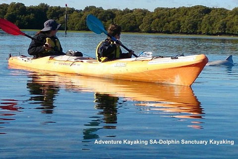Adelaide Dolphin Sanctuary And Ships Graveyard Kayak Tour - Hotels Melbourne 0