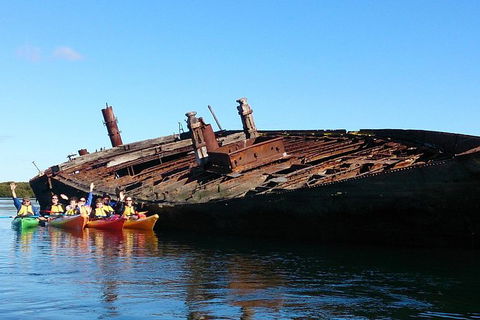 Adelaide Dolphin Sanctuary And Ships Graveyard Kayak Tour - Hotels Melbourne 1
