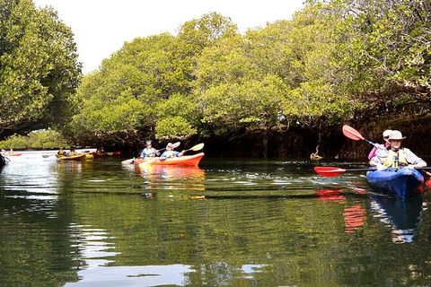 Adelaide Dolphin Sanctuary And Ships Graveyard Kayak Tour - Hotels Melbourne 8