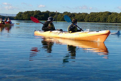 Adelaide Dolphin Sanctuary And Ships Graveyard Kayak Tour - Hotels Melbourne 3