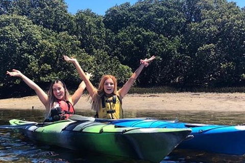 Adelaide Dolphin Sanctuary And Ships Graveyard Kayak Tour - Hotels Melbourne 4