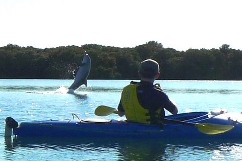 Adelaide Dolphin Sanctuary And Ships Graveyard Kayak Tour - Hotels Melbourne 2