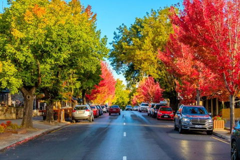 Adelaide City Highlights With Hahndorf And Mt. Lofty - Hotels Melbourne 7