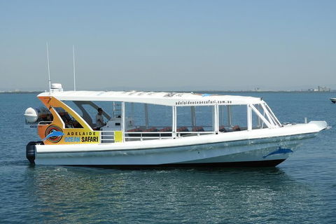 Adelaide Ocean Safari - Wild Dolphin Safari - Hotels Melbourne 0