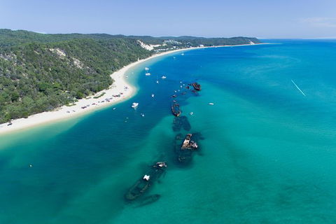 Cape Moreton Scenic 4WD Day Tour From Brisbane Or The Gold Coast - Hotels Melbourne 8