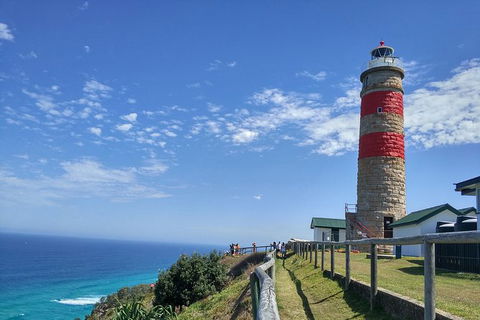 Cape Moreton Scenic 4WD Day Tour From Brisbane Or The Gold Coast - Hotels Melbourne 6