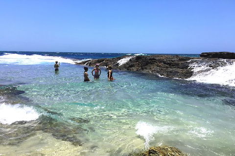 Cape Moreton Scenic 4WD Day Tour From Brisbane Or The Gold Coast - Hotels Melbourne 3