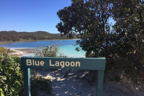 Cape Moreton Scenic 4WD Day Tour From Brisbane Or The Gold Coast - Hotels Melbourne 4