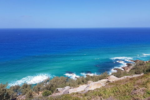 Cape Moreton Scenic 4WD Day Tour From Brisbane Or The Gold Coast - Hotels Melbourne 7