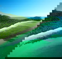 Cape Tribulation Mossman Gorge and Daintree Rainforest Day Trip from Cairns or Port Douglas - Hotels Melbourne