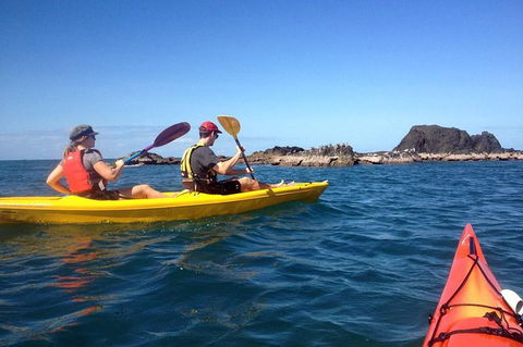 Port Douglas Half-Day Kayak Tour - Hotels Melbourne 0
