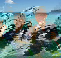 Ocean Spirit Michaelmas Cay Dive and Snorkel Cruise from Palm Cove - Hotels Melbourne