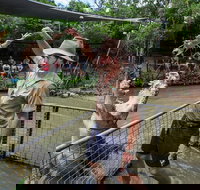 Hartley's Crocodile Adventures Day Trip from Cairns