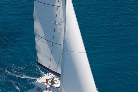 Afternoon Low Isles Snorkeling And Sailing Cruise From Port Douglas - Hotels Melbourne 1