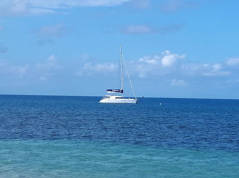 Afternoon Low Isles Snorkeling And Sailing Cruise From Port Douglas - Hotels Melbourne 7