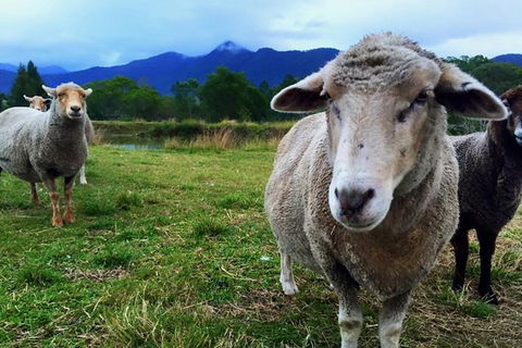 Trevena Glen Farm Animal Experience - Hotels Melbourne 0