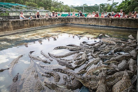 Hartley\'s Crocodile Adventures Day Trip From Palm Cove - Hotels Melbourne 7