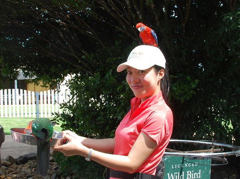 O'Reilly's Lamington National Park And Treetop Canopy Tour - Hotels Melbourne 5