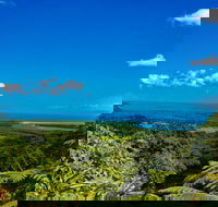 Cape Tribulation Day Tour - Hotels Melbourne