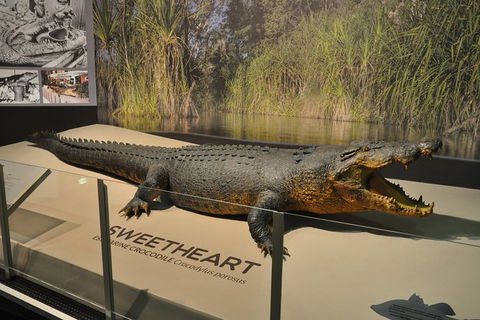 Explore Darwin City Sights Including Key Attractions - Hotels Melbourne 7