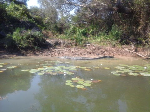 3-Day Kakadu National Park And Arnhem Land Explorer Tour From Darwin - Hotels Melbourne 23