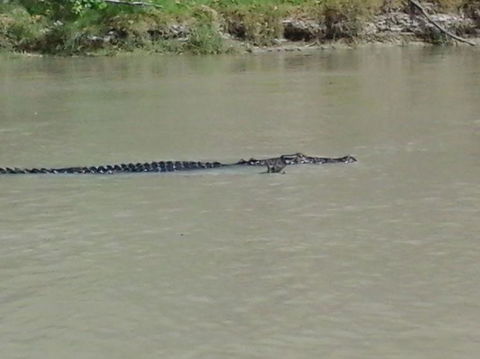3-Day Kakadu National Park And Arnhem Land Explorer Tour From Darwin - Hotels Melbourne 7