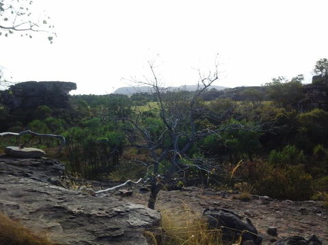 3-Day Kakadu National Park And Arnhem Land Explorer Tour From Darwin - Hotels Melbourne 14