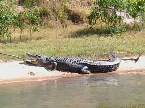 3-Day Kakadu National Park And Arnhem Land Explorer Tour From Darwin - Hotels Melbourne 6
